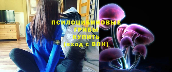 прущие грибы Абаза
