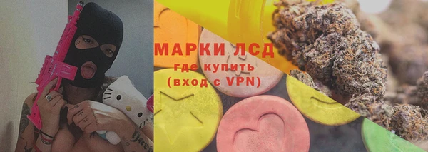 ПСИЛОЦИБИНОВЫЕ ГРИБЫ Нея