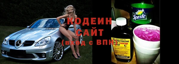 прущие грибы Абаза