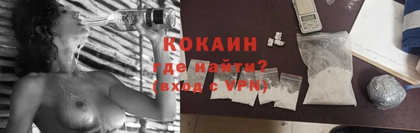 прущие грибы Абаза