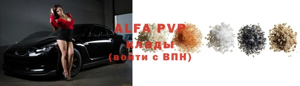 прущие грибы Абаза
