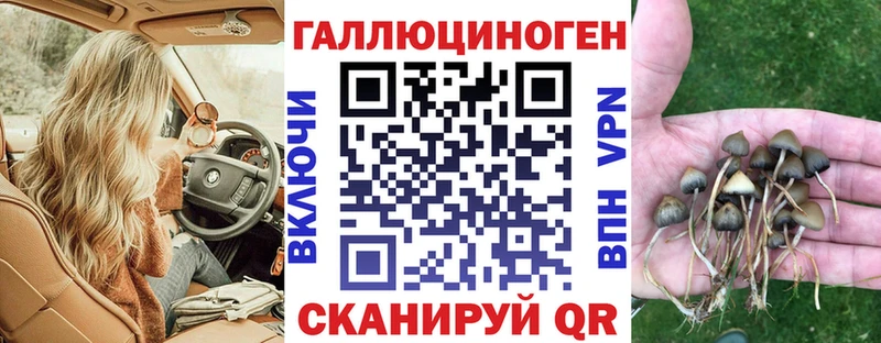 магазин продажи   Мостовской  Галлюциногенные грибы Cubensis 